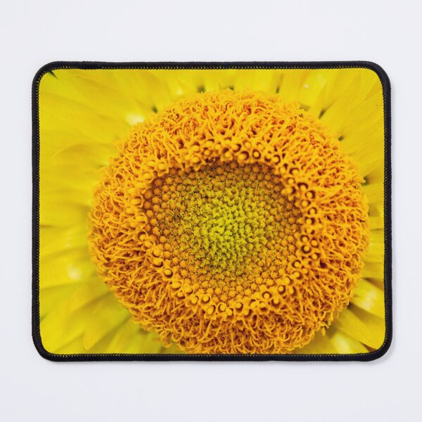 Item preview, Everlasting Daisy Yellow Flower designed and sold by ea-photos.