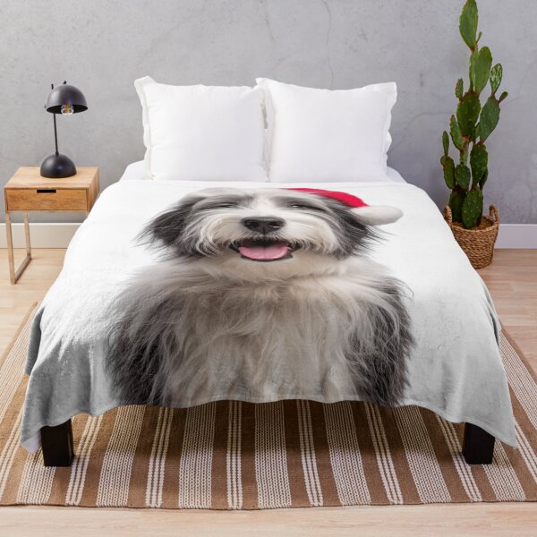Item preview, Cute Polish Lowland Sheepdog Christmas Art — Polish Lowland Sheepdog Wearing Santa Hat designed and sold by LazyOwlStore.