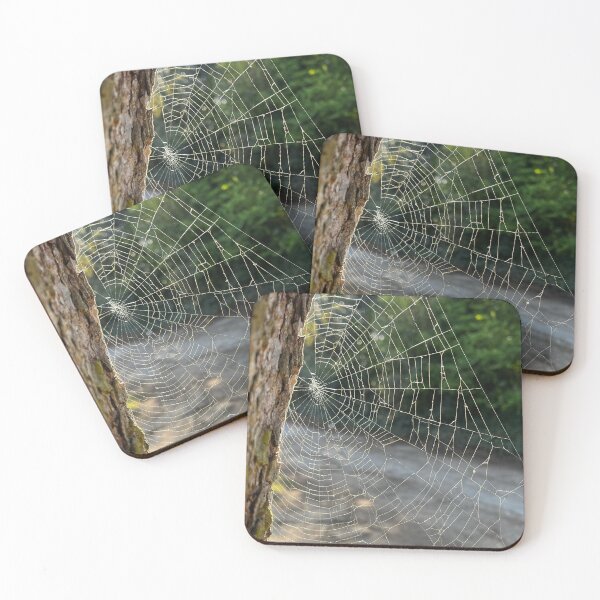 Item preview, Spider's Web, Holt, April 2025 designed and sold by MorstonPhoto.