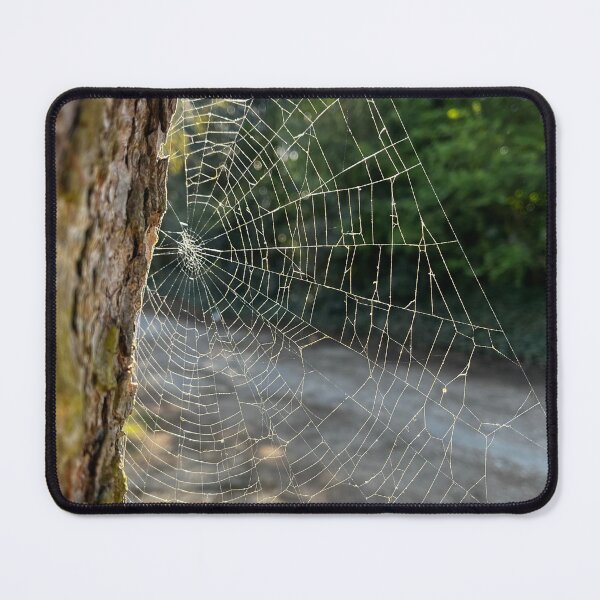 Item preview, Spider's Web, Holt, April 2025 designed and sold by MorstonPhoto.