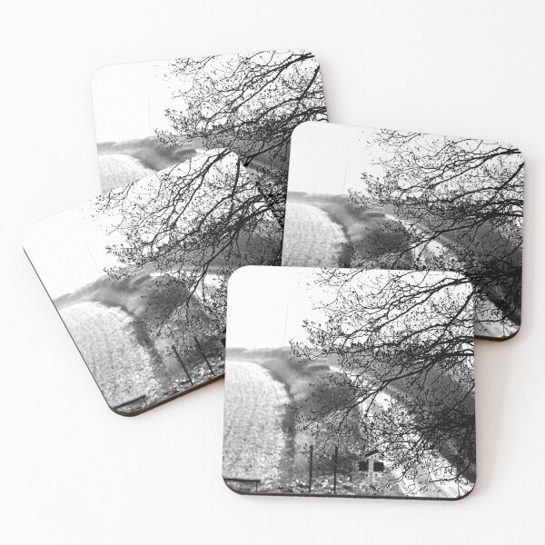 Item preview, Morston Tree from the Church designed and sold by MorstonPhoto.