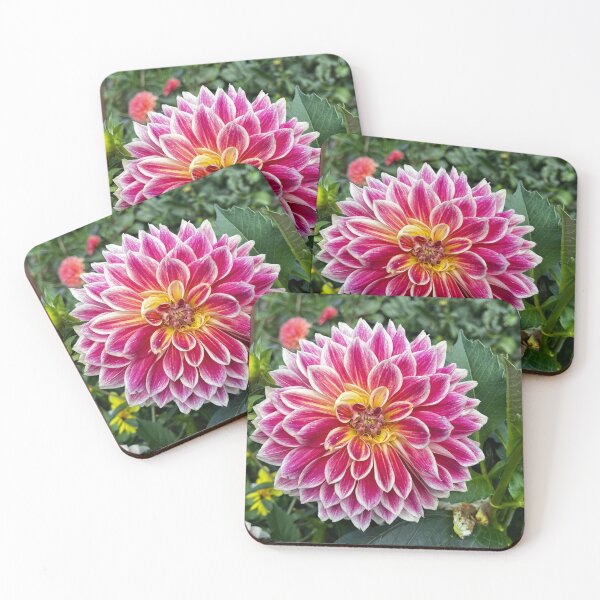 Item preview, Derbyshire Dahlia designed and sold by MorstonPhoto.