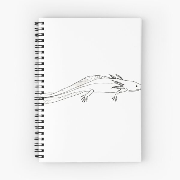 Artikelvorschau, Minimalistische Axolotl-Strichzeichnung – Elegante Amphibienzeichnung – Schlichtes Tierdesign in Schwarz-Weiß entworfen und verkauft von MadeByACJ.