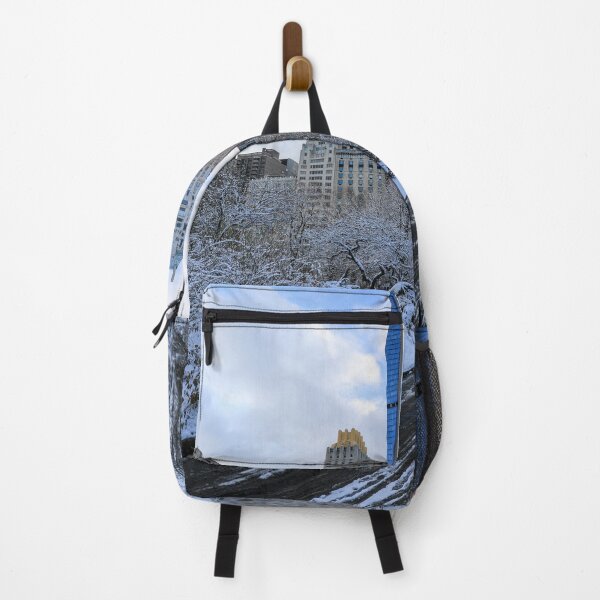 Item preview, A peaceful winter scene in Central Park designed and sold by Southern Cross Lifestyle .