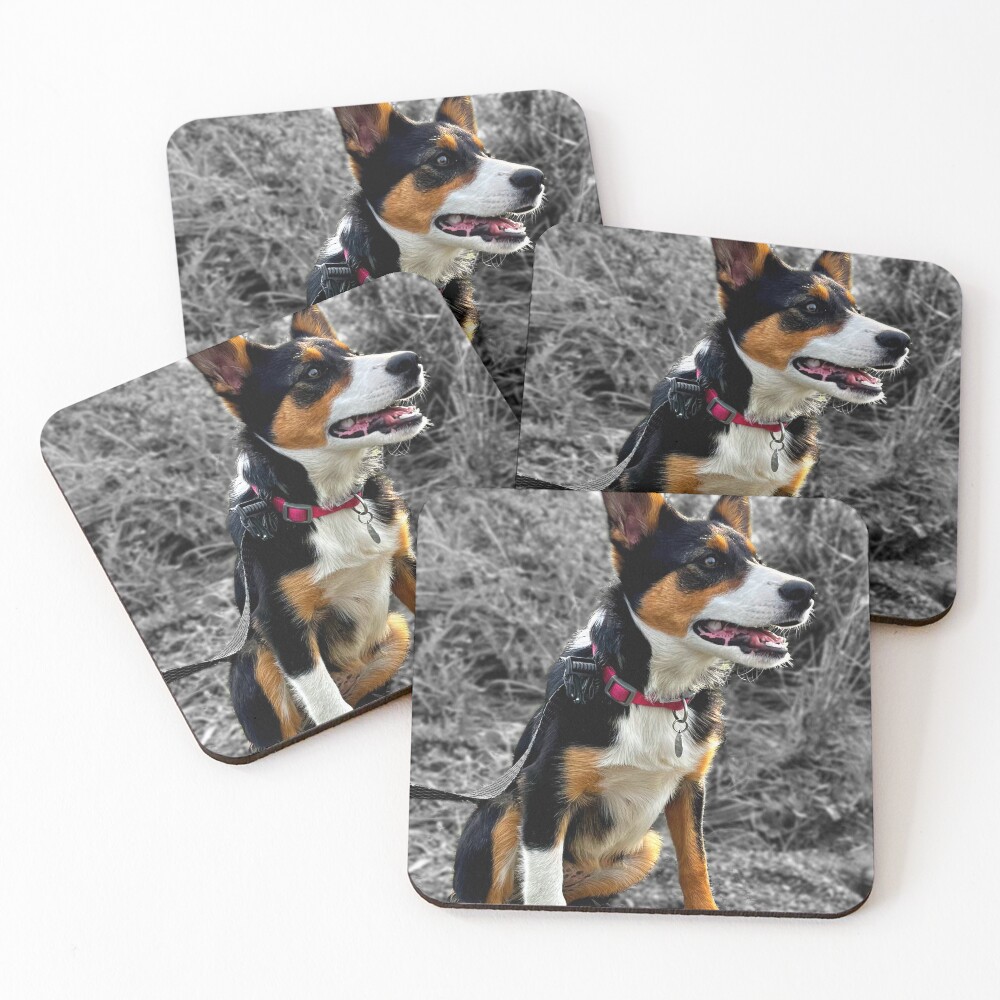 Item preview, Coasters (Set of 4) designed and sold by MorstonPhoto.
