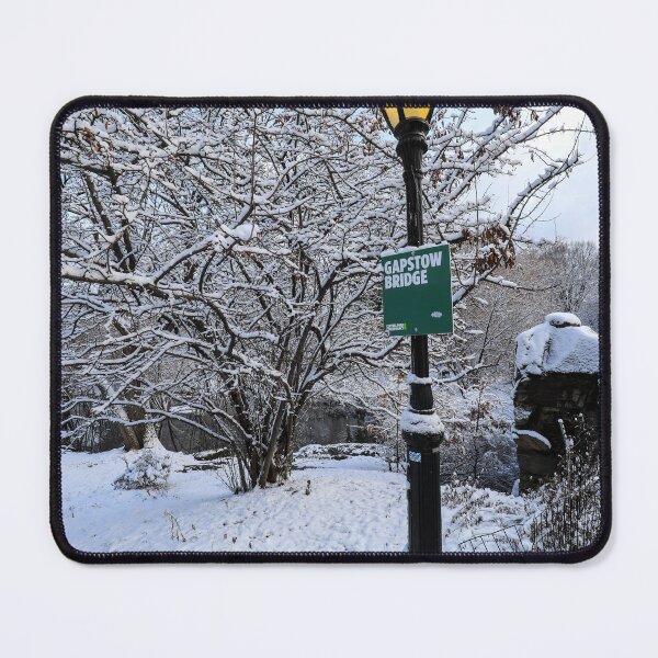 Item preview, A peaceful winter scene in Central Park designed and sold by Justin Mckinney.