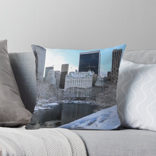 Item preview, A peaceful winter scene in Central Park designed and sold by Justin Mckinney.