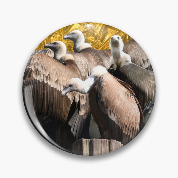 Artikelvorschau, Reiner Kapitalismus – Geier auf dem Pflock / Swiss Artwork Photography entworfen und verkauft von Raphael Wolf.