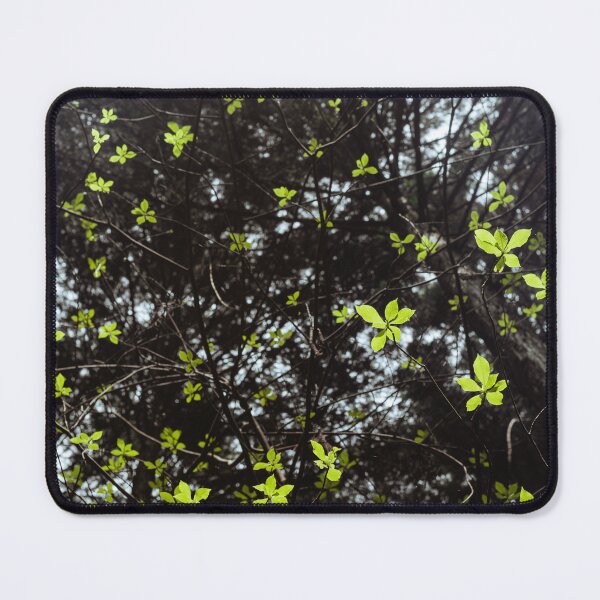 Item preview, Leaves in the Forest designed and sold by Shak-M.