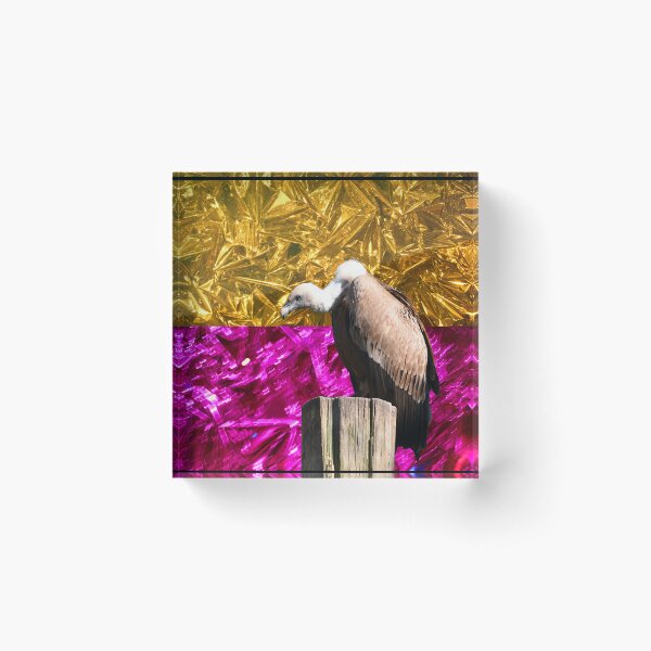 Item preview, Vulture on a Perch – The Silent Gravedigger / Swiss Artwork Photography designed and sold by Raphael Wolf.