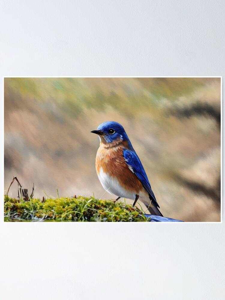 Thumbnail 1 of 3, Poster, Pretty Bluebird designed and sold by tomorrowsart.