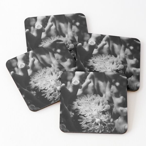 Item preview, Close-Up of Coral Reef Life Featuring Soft and Hard Corals in black and white designed and sold by FotoMahieu.