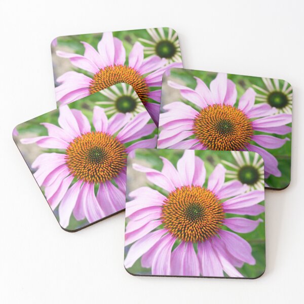 Item preview, Echinacea Coneflower in Bloom Close-Up designed and sold by eGreenHat.