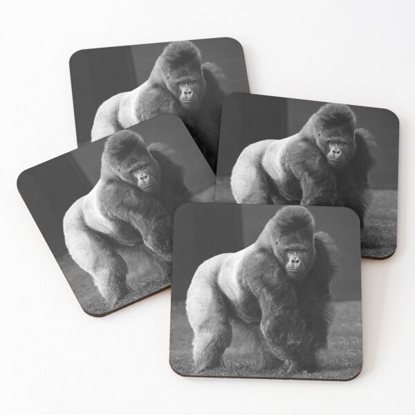 Item preview, Calm Titan – Silverback Gorilla designed and sold by rawshutterbug.
