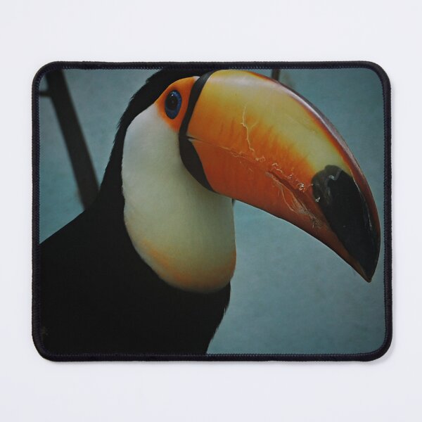 Item preview, The Bronx Zoo Toucan designed and sold by schostix.
