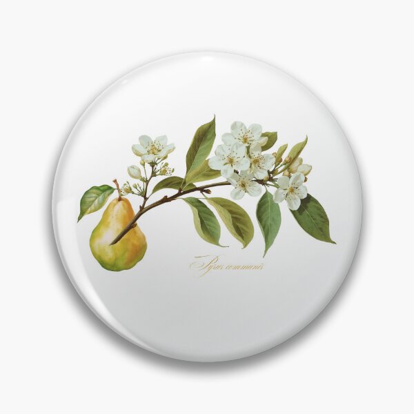 Item preview, Pyrus communis | Flowering Branch and Fruit Botanical Illustration (No Background) designed and sold by ChristinePartlow.