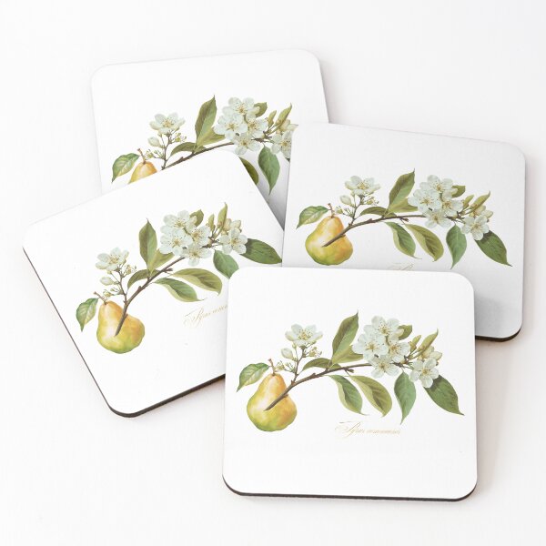 Item preview, Pyrus communis | Flowering Branch and Fruit Botanical Illustration (No Background) designed and sold by ChristinePartlow.