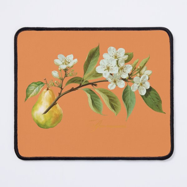 Item preview, Pyrus communis | Flowering Branch and Fruit Botanical Illustration (No Background) designed and sold by ChristinePartlow.