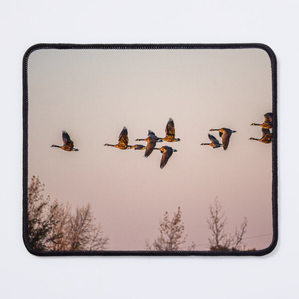 Item preview, Volando hacia el atardecer designed and sold by AP025.