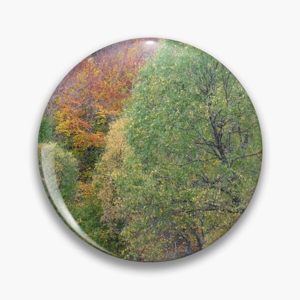 Item preview, Eskadale Forest Autumn Landscape designed and sold by Macrae images.