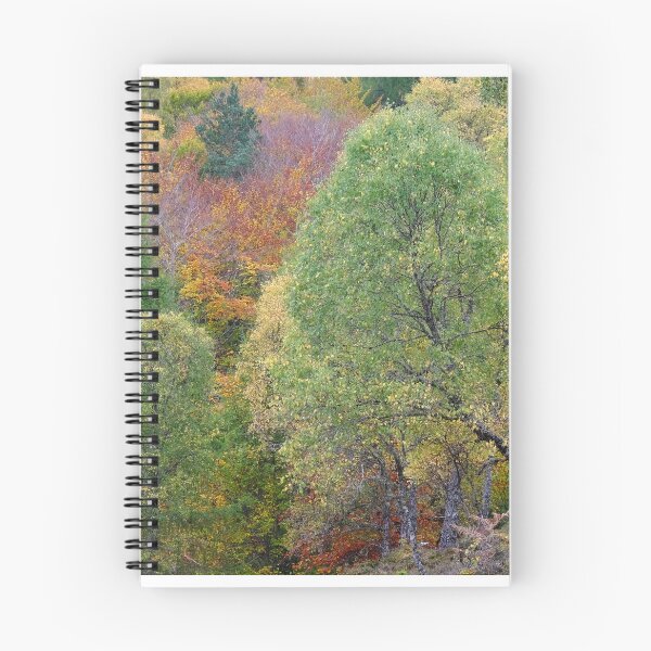 Item preview, Eskadale Forest Autumn Landscape designed and sold by Macrae images.