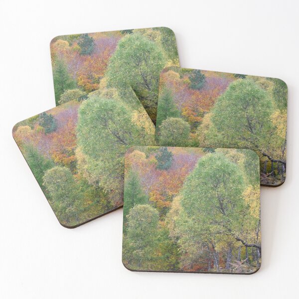 Item preview, Eskadale Forest Autumn Landscape designed and sold by Macrae images.