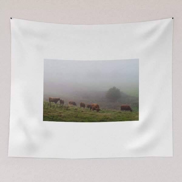 Item preview, Highland Cows in Mist designed and sold by Macrae images.