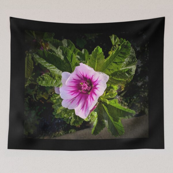 Item preview, Hollyhock Walk designed and sold by Steve Walser.