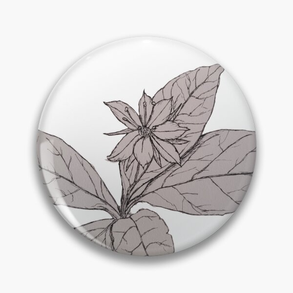 Item preview, Western Starflower | Botanical Illustration designed and sold by EcologicalArt.