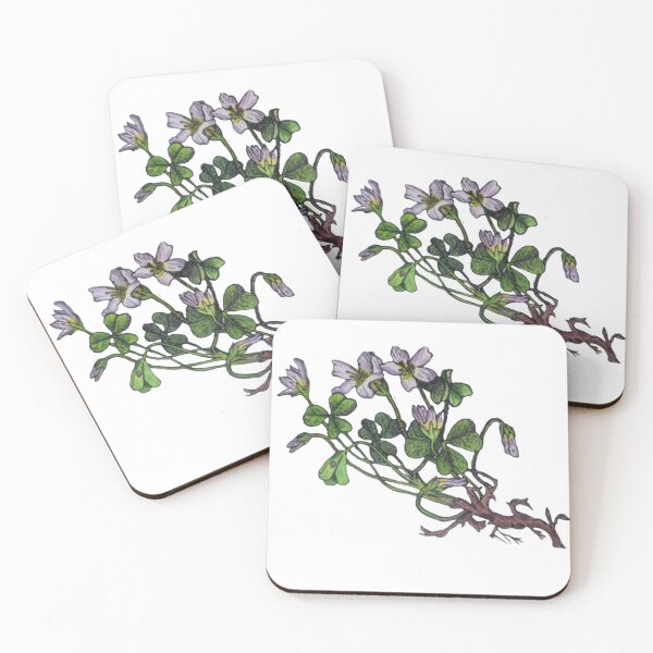 Item preview, Wood Sorrel | Botanical Illustration designed and sold by EcologicalArt.