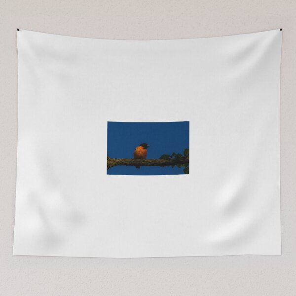 Item preview, ¡Mírame! designed and sold by AP025.