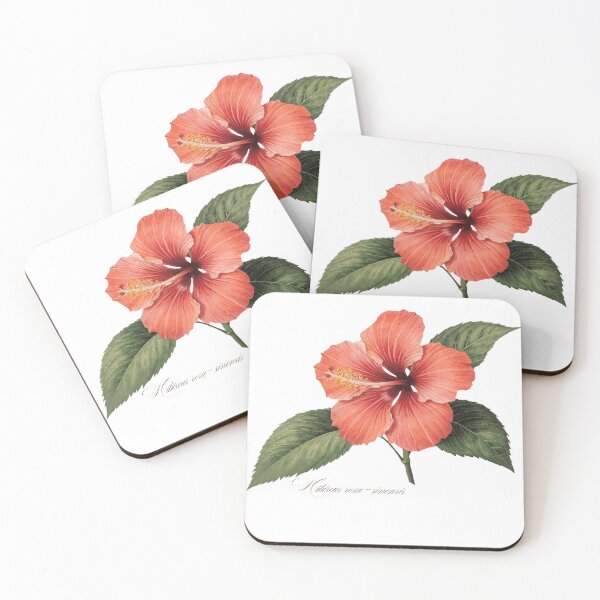 Item preview, Hibiscus rosa-sinensis | Flowering Branch Botanical Illustration (No Background) designed and sold by ChristinePartlow.