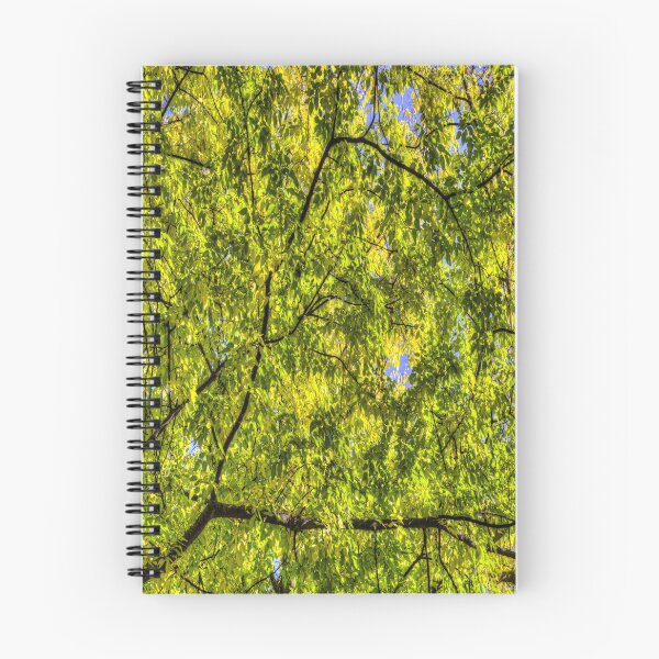 Item preview, Autumn Tree Canopy designed and sold by Londonimages.