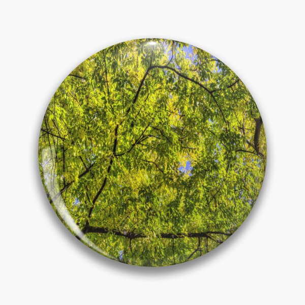 Item preview, Autumn Tree Canopy designed and sold by Londonimages.
