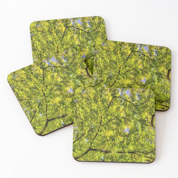 Item preview, Autumn Tree Canopy designed and sold by Londonimages.
