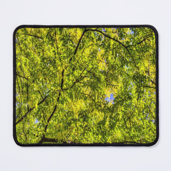 Item preview, Autumn Tree Canopy designed and sold by Londonimages.