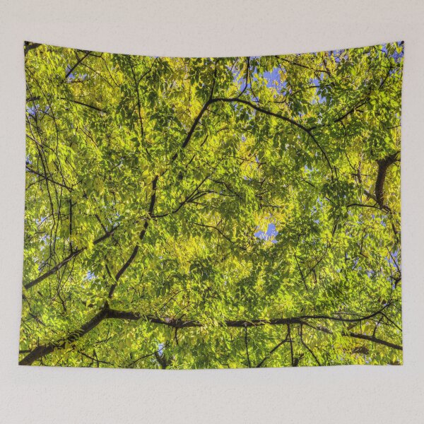 Item preview, Autumn Tree Canopy designed and sold by Londonimages.