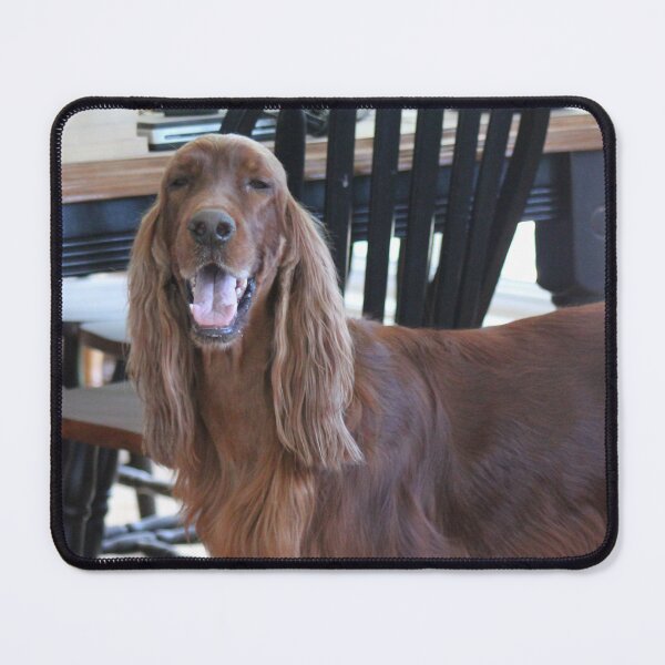 Item preview, Irish Setter Eyes Are Smiling designed and sold by Mythen.
