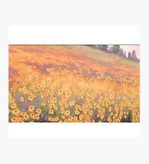 Wildflower Mural without text Photographic Print