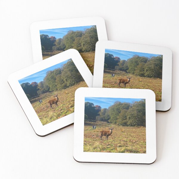 Item preview, London Nature. Deer in Autumnal Richmond Park designed and sold by The Running London Photographer.