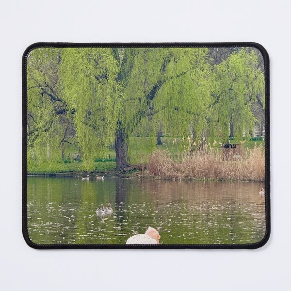 Item preview, London Pelican Under The Willow. St James’s Park. designed and sold by The Running London Photographer.