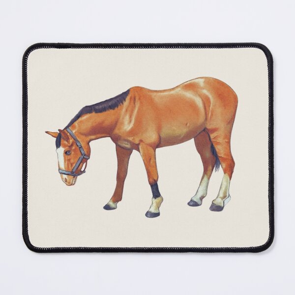 Item preview, Drawing of HORSE Looking Down, Realism Illustration designed and sold by JoyfulWhimsy.