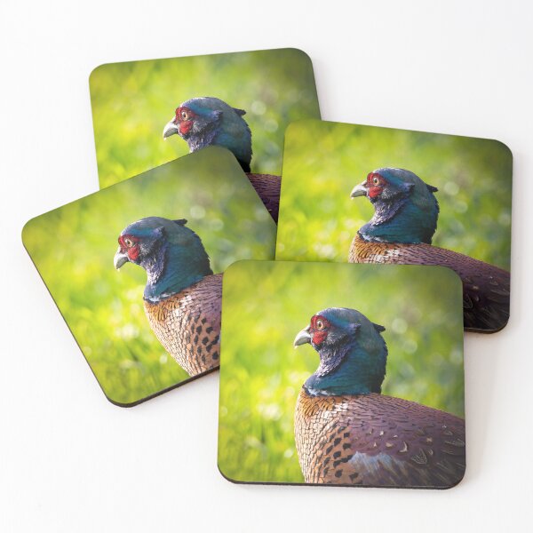 Item preview, Male Pheasant in Bowland designed and sold by CEastwoodPhotos.