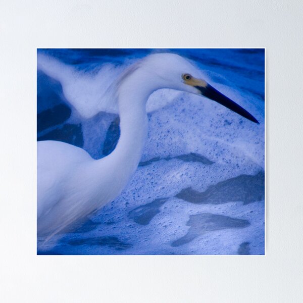 Item preview, Seabird designed and sold by MaryAnn Reilly.