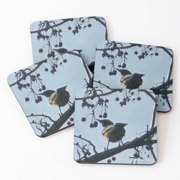 Item preview, Bird in Shadow designed and sold by DancingCreek.