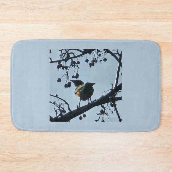 Item preview, Bird in Shadow designed and sold by DancingCreek.