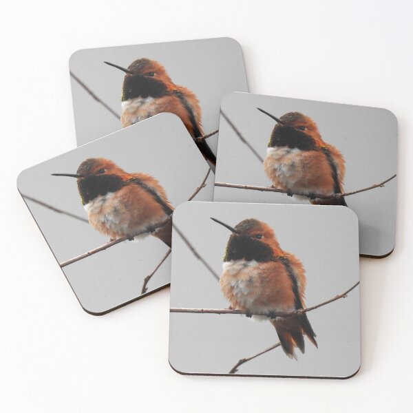 Item preview, A Rufous Hummingbird On a Branch designed and sold by Wonders Of Paradise.
