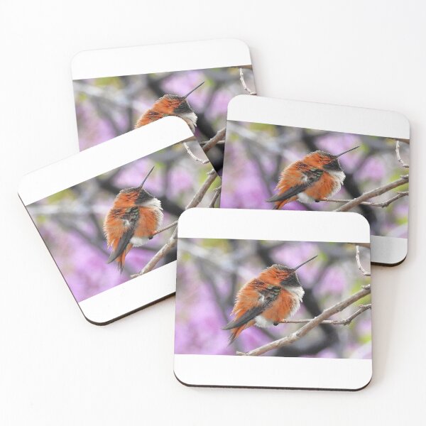 Item preview, Rufous Hummingbird Resting designed and sold by Wonders Of Paradise.
