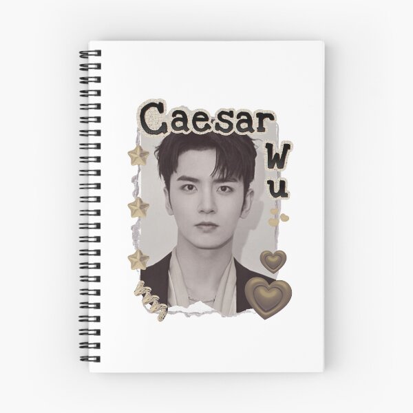 Item preview, Caesar Wu (Wu Xize 吴希泽) Portrait of Chen Feiyu Chinese Actor Cdrama Chinese Entertainment Scrapbook Collage Cozy Y2K Vintage Design designed and sold by HELL0WBELLO.