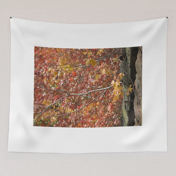 Item preview, Autumn Colors, Harsimus Branch Embankment, Jersey City, New Jersey designed and sold by lenspiro.